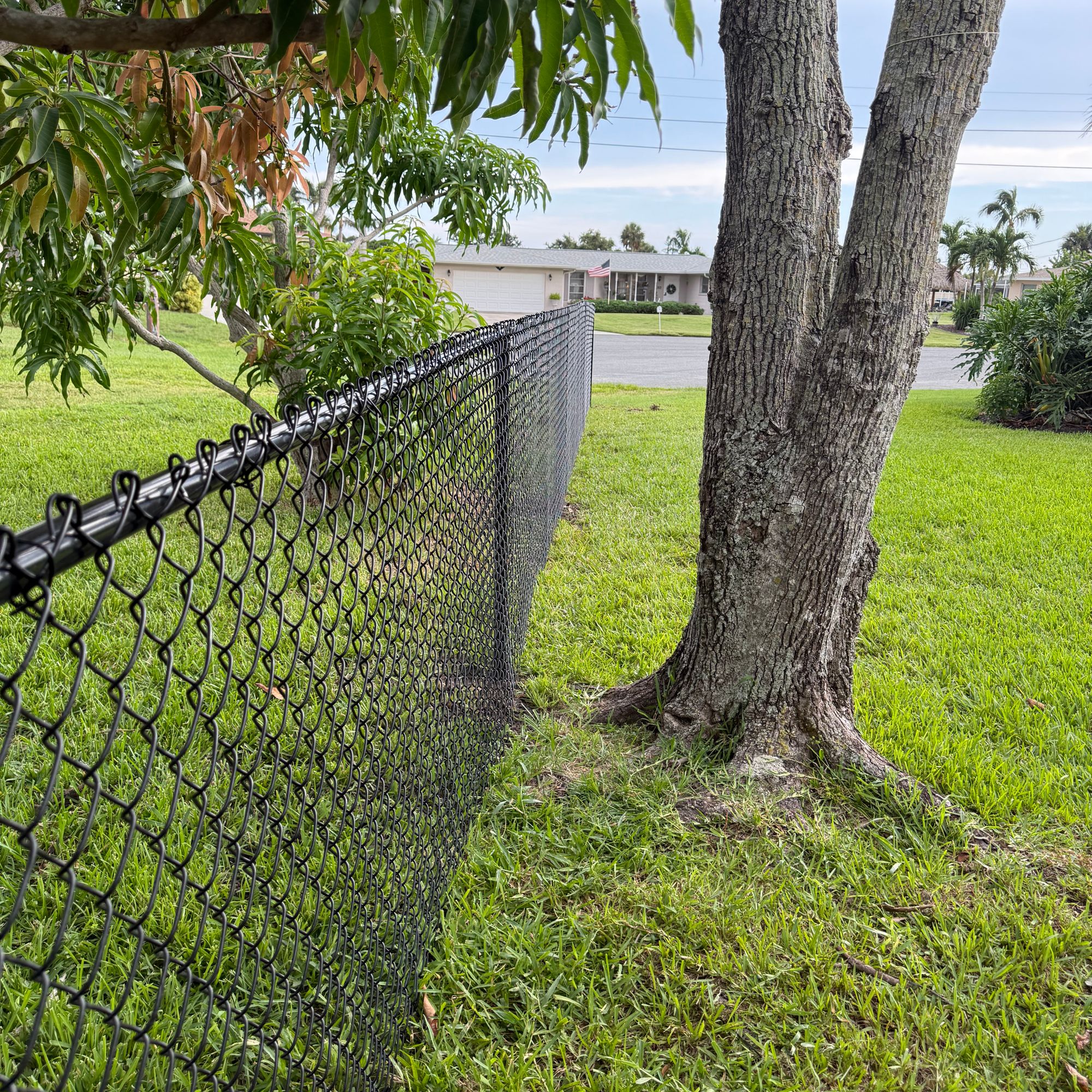 Fence project IMG 0736